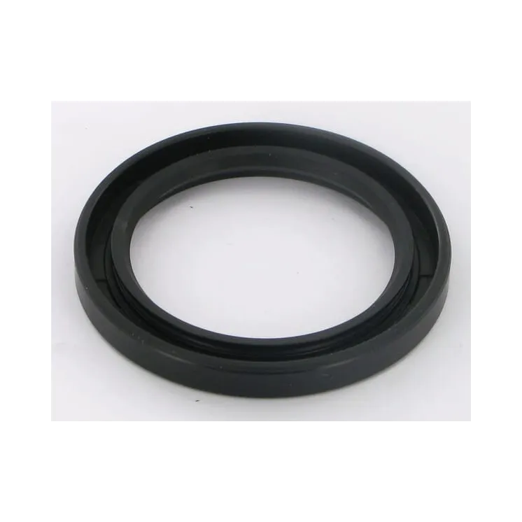 COGEAI SEAL RING  KG00021900 Vicon