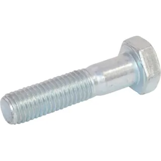 Skrūve 14x60 KG00360161 Vicon