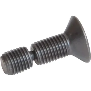 Screw  KB8850950 Vicon