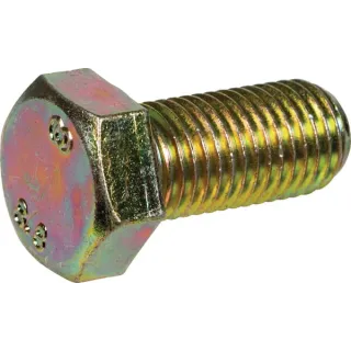 Screw  KG00480161 Vicon
