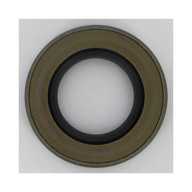 Spy seal 35x62x10c   KG00269900 Vicon