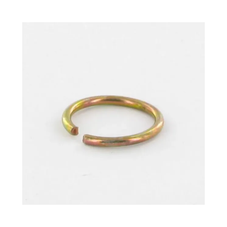 Circlip  VGPZ244 Vicon PZ244V