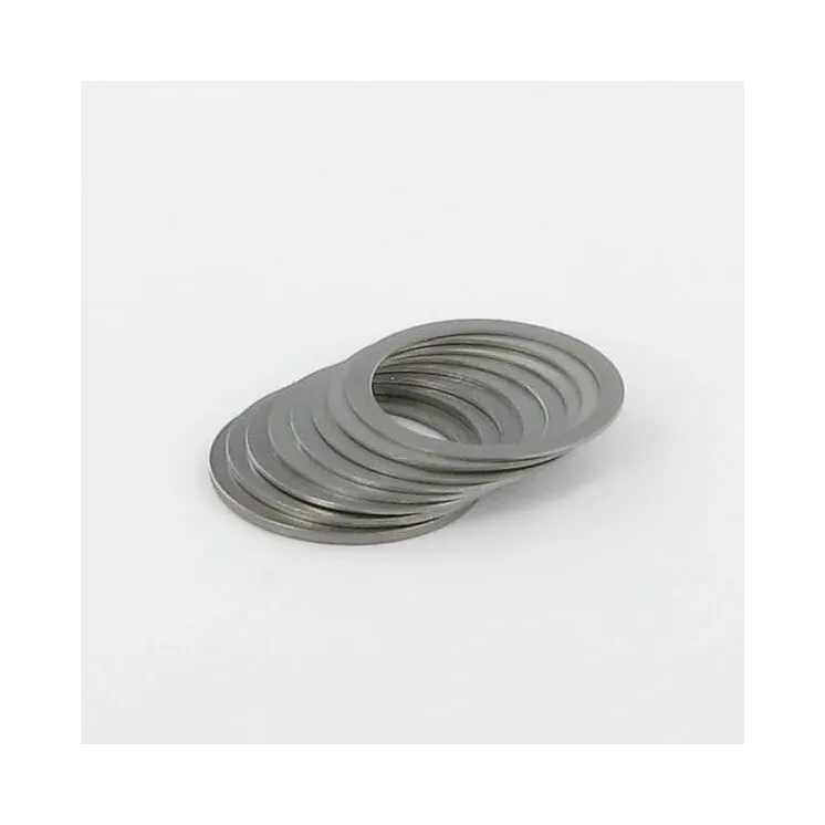 Shim Set  VGTH0079 Vicon TH0079 VGTH7920