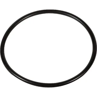O-Ring,   VGND6235 Vicon