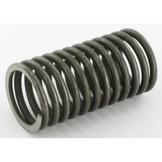 Compression Spring  VGPZ240 Vicon PZ240