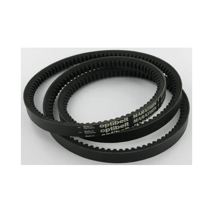Ķīļsiksna VGND96078 Vicon