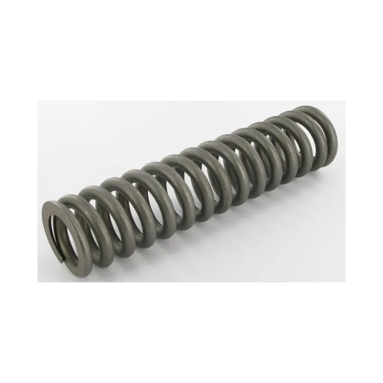 Compression spring  VGPZ251 Vicon PZ251
