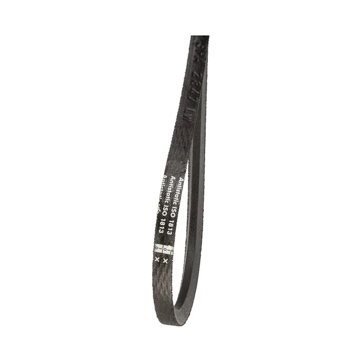 Ķīļsiksna VGND9073 Vicon ND9073