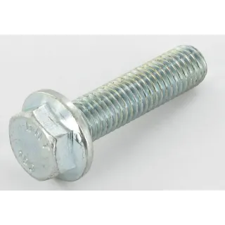 Bolt  VN30268140 Vicon