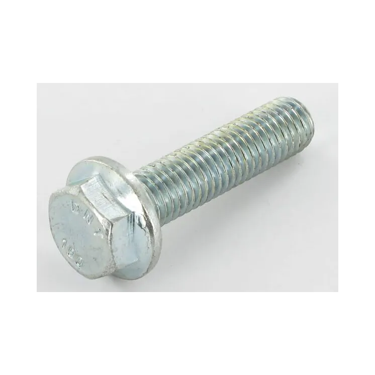 Bolt  VN30268140 Vicon