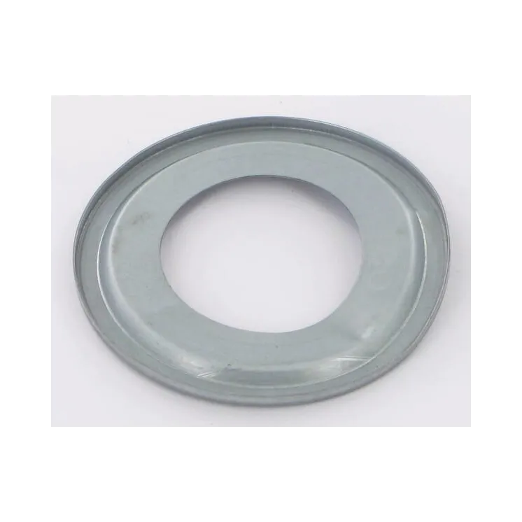 Ring 6206Z-AV   VN31425106 Vicon