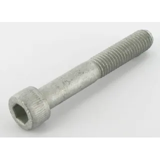 Bolt  VN30397165 Vicon 30397165