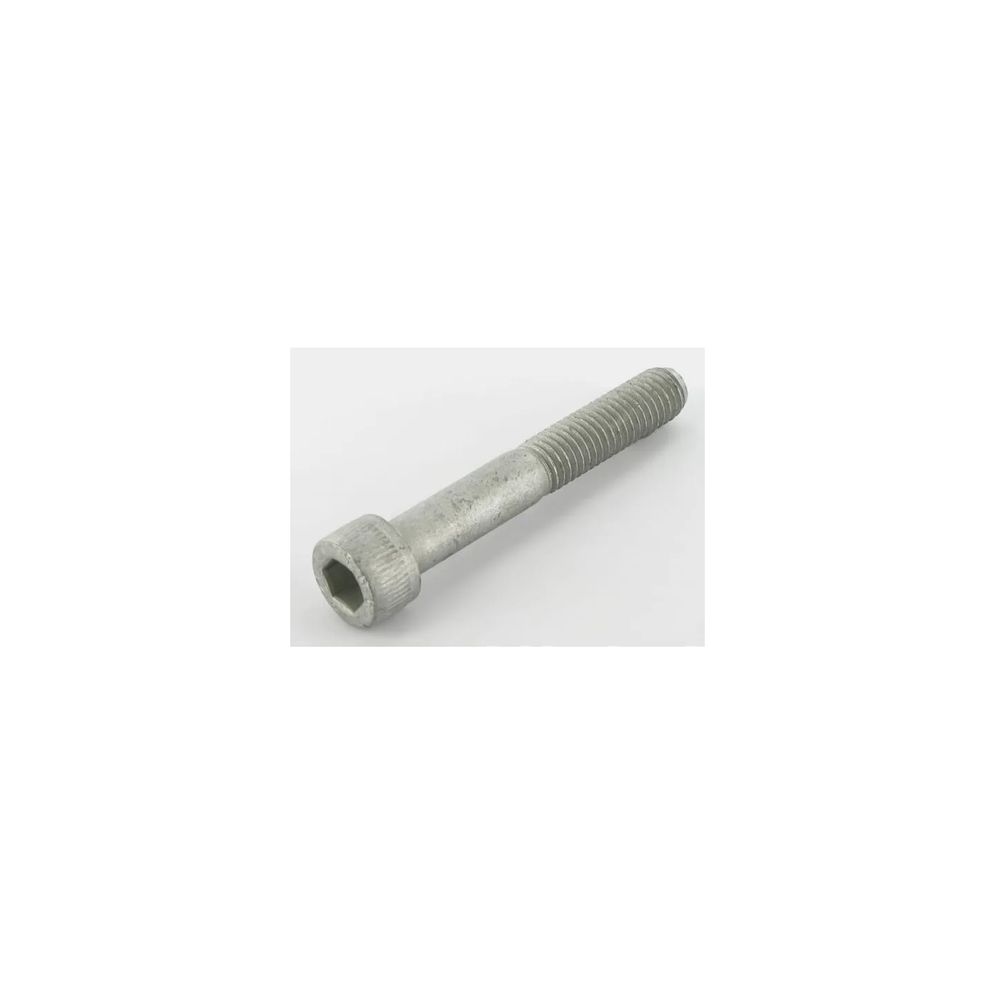 Bolt  VN30397165 Vicon 30397165