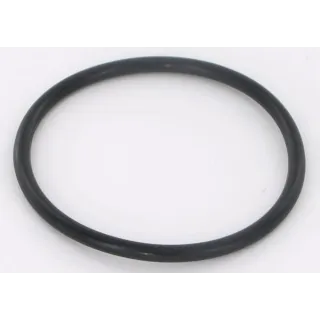 O-Ring,   VN17882338 Vicon
