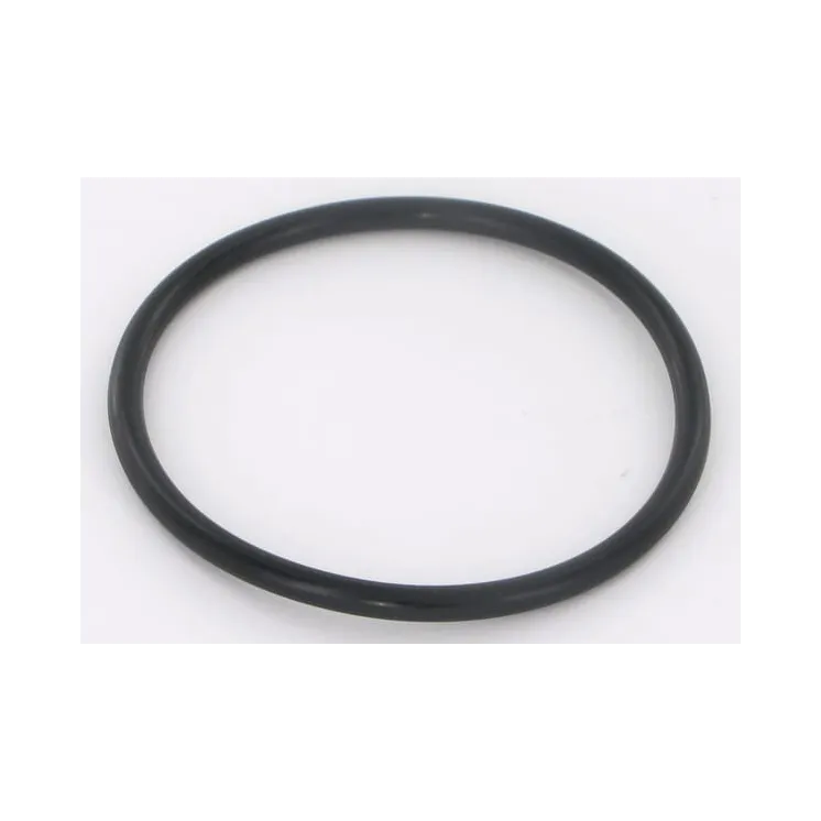 O-Ring,   VN17882338 Vicon