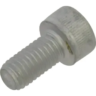 Bolt  VN30361815 Vicon