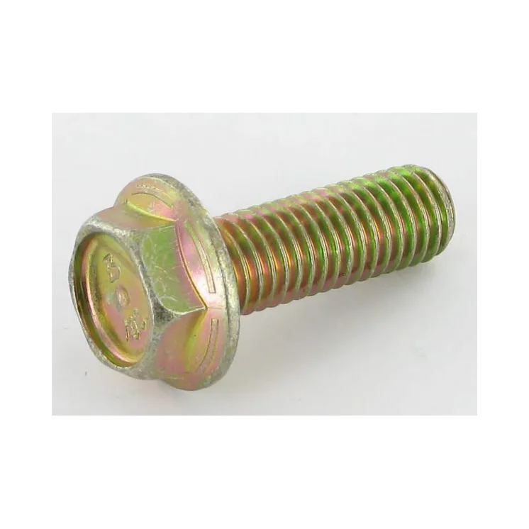 Bolt  VN30268130 Vicon