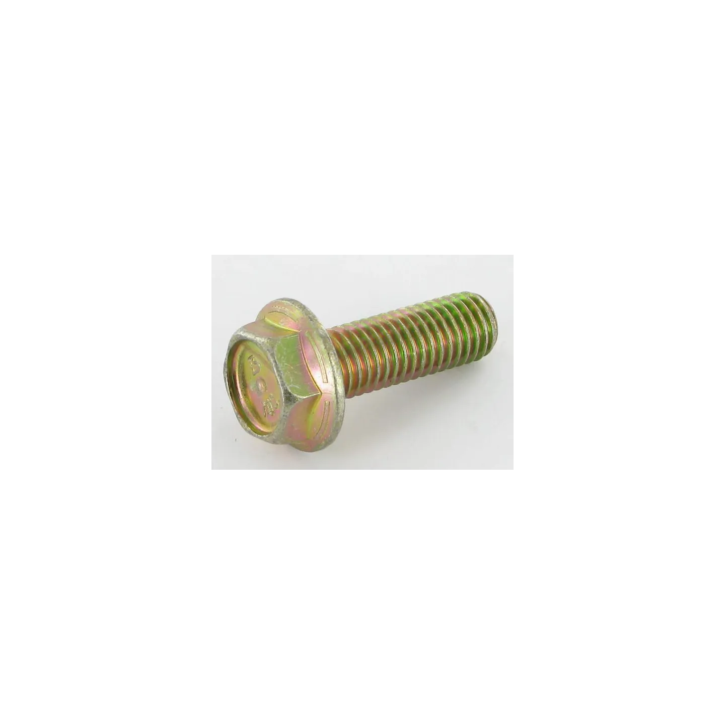 Bolt  VN30268130 Vicon
