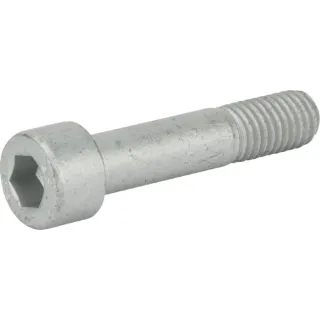 Bolt  VN19380823 Vicon 19380823
