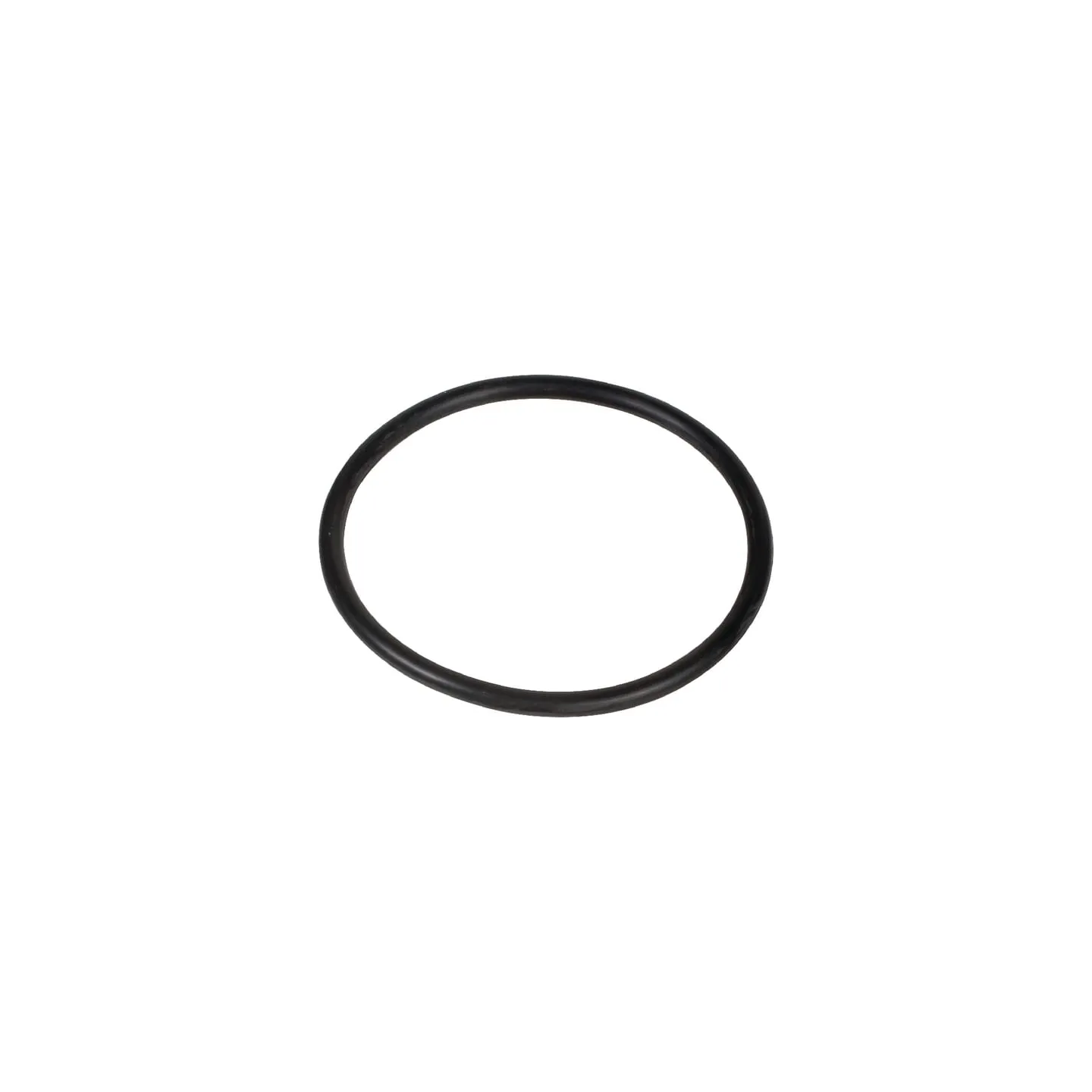 O-ring 2.62x40.95  VN36107271 Vicon