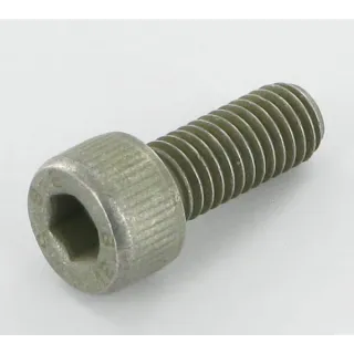 Bolt  VN30361820 Vicon