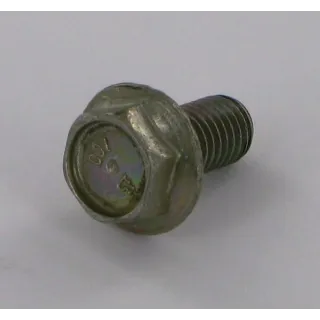 Bolt M10x20  VN30268120 Vicon