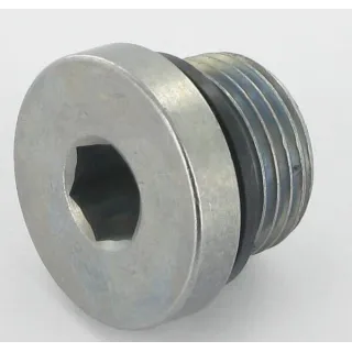 Oil plug  VN17883651 Vicon