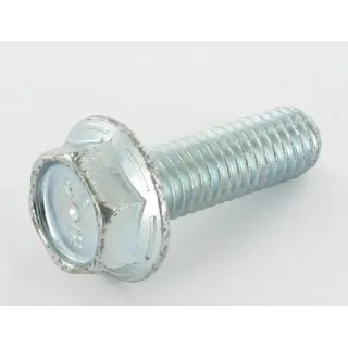 Bolt M8x100 10 K  VN30296825 Vicon