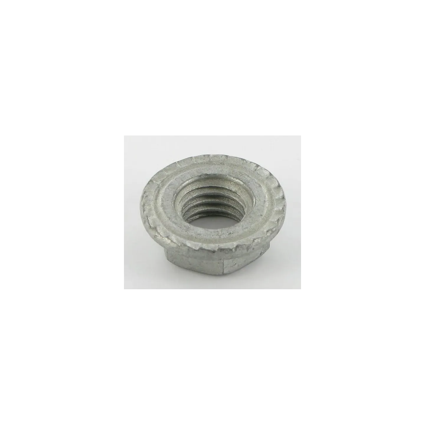 Nut M13  VN30598012 Vicon