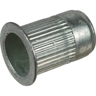 Blind Nut  VN30565807 Vicon