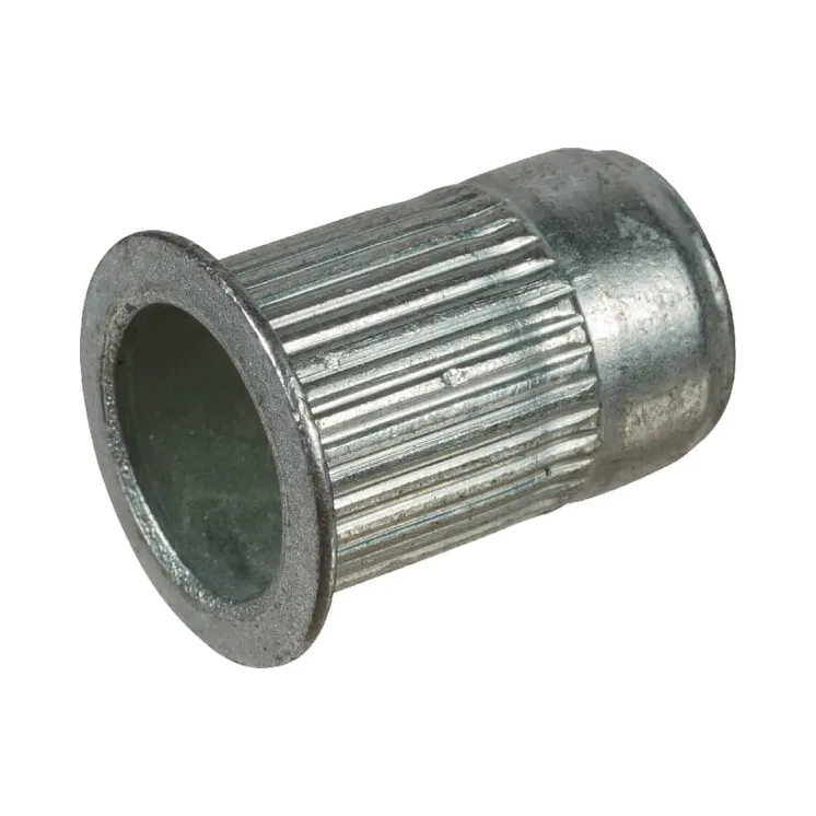 Blind Nut  VN30565807 Vicon