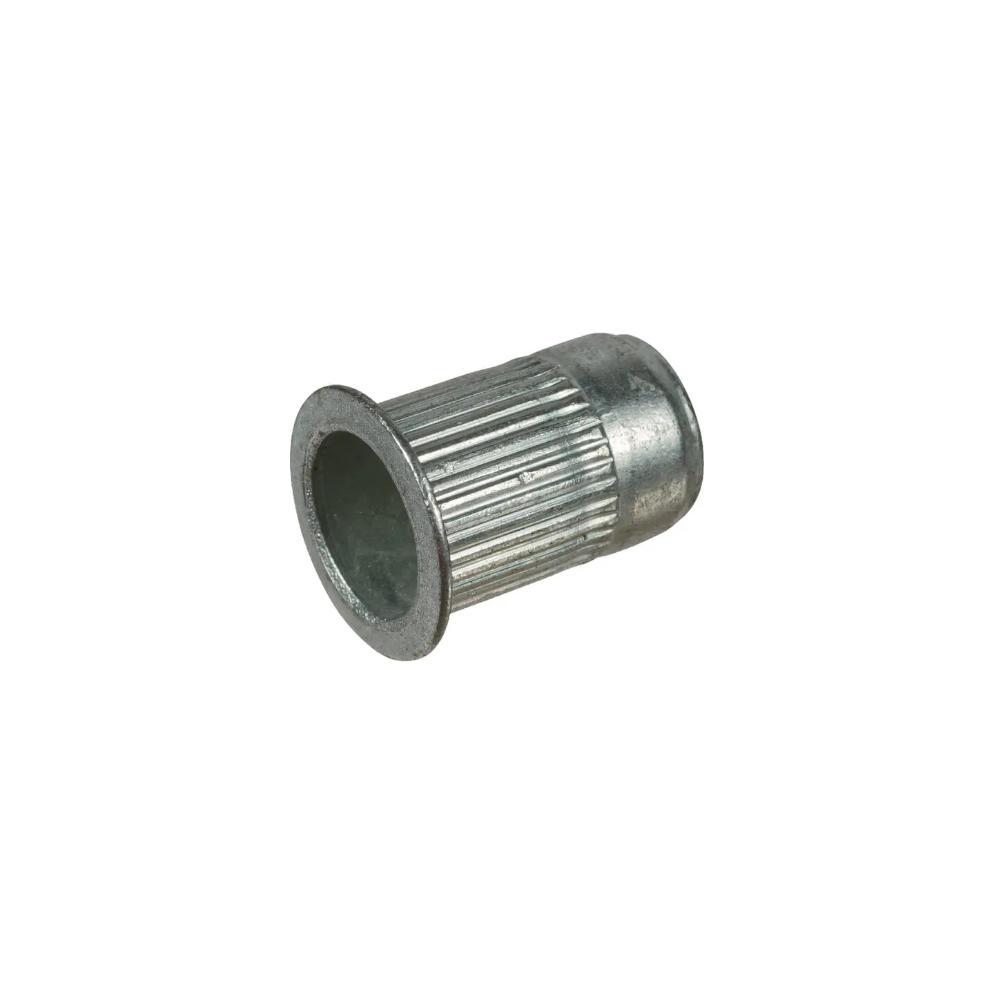 Blind Nut  VN30565807 Vicon