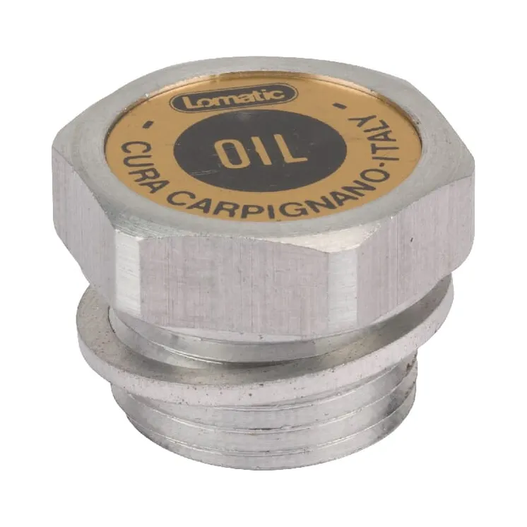 Plug  VNB2091678 Vicon