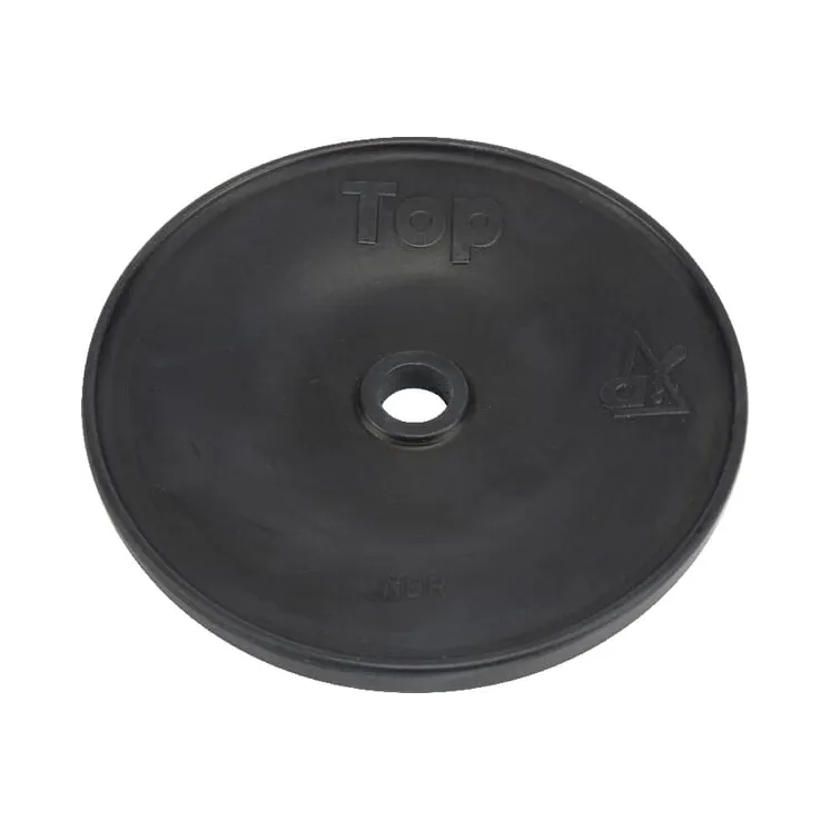 Membrane P260 127  VNB4458178 Vicon