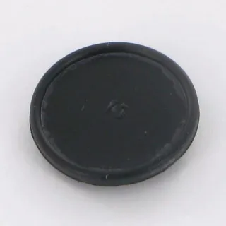 Membrāna VNB2410578 Vicon RG00061824