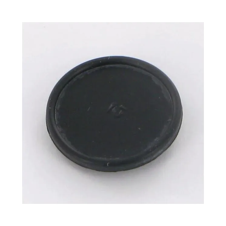 Membrane  VNB2410578 Vicon RG00061824