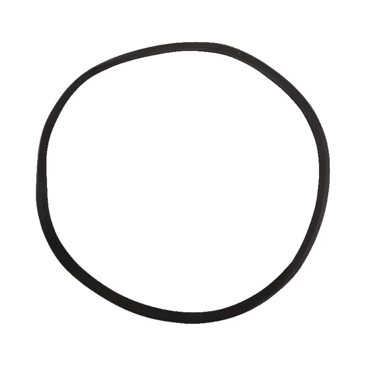 Blīvējums VNB4190878 Vicon