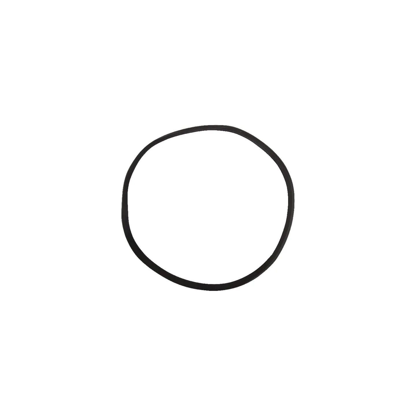Blīvējums VNB4190878 Vicon