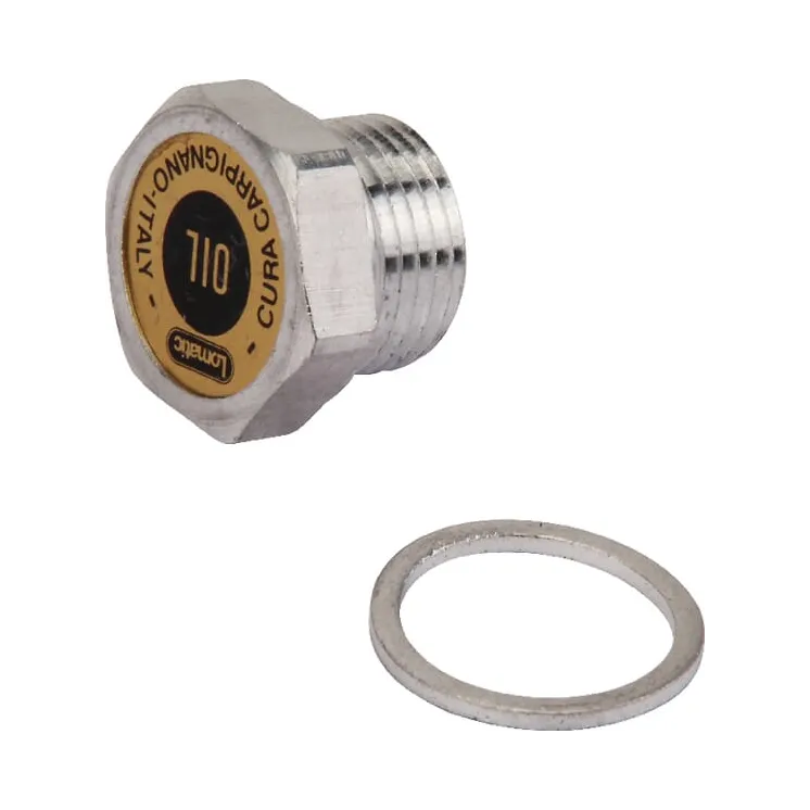 Plug  VNB2091578 Vicon