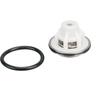 Valve complete Rau  VNB3735478 Vicon
