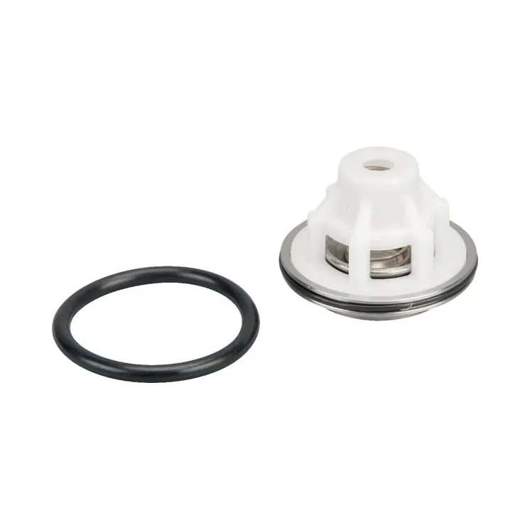 Valve complete Rau  VNB3735478 Vicon