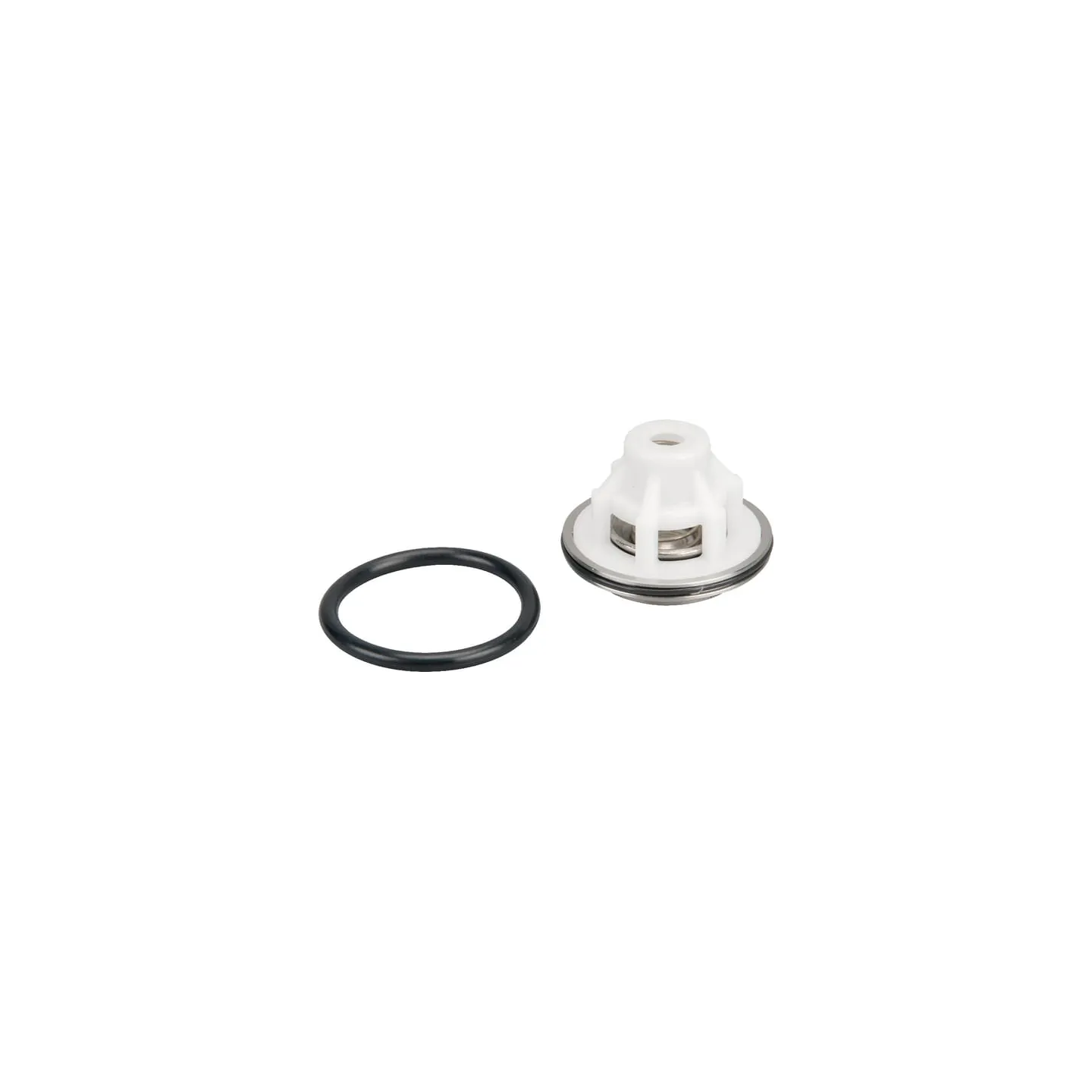 Valve complete Rau  VNB3735478 Vicon