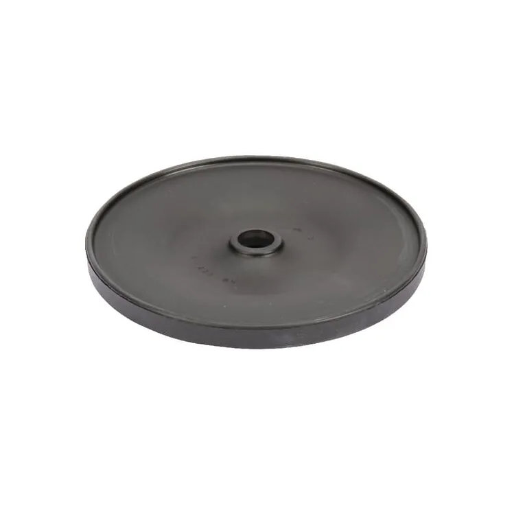 Membrāna P250 Rau VNB3736578 Vicon
