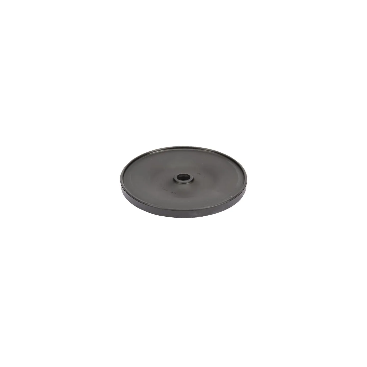 Membrāna P250 Rau VNB3736578 Vicon