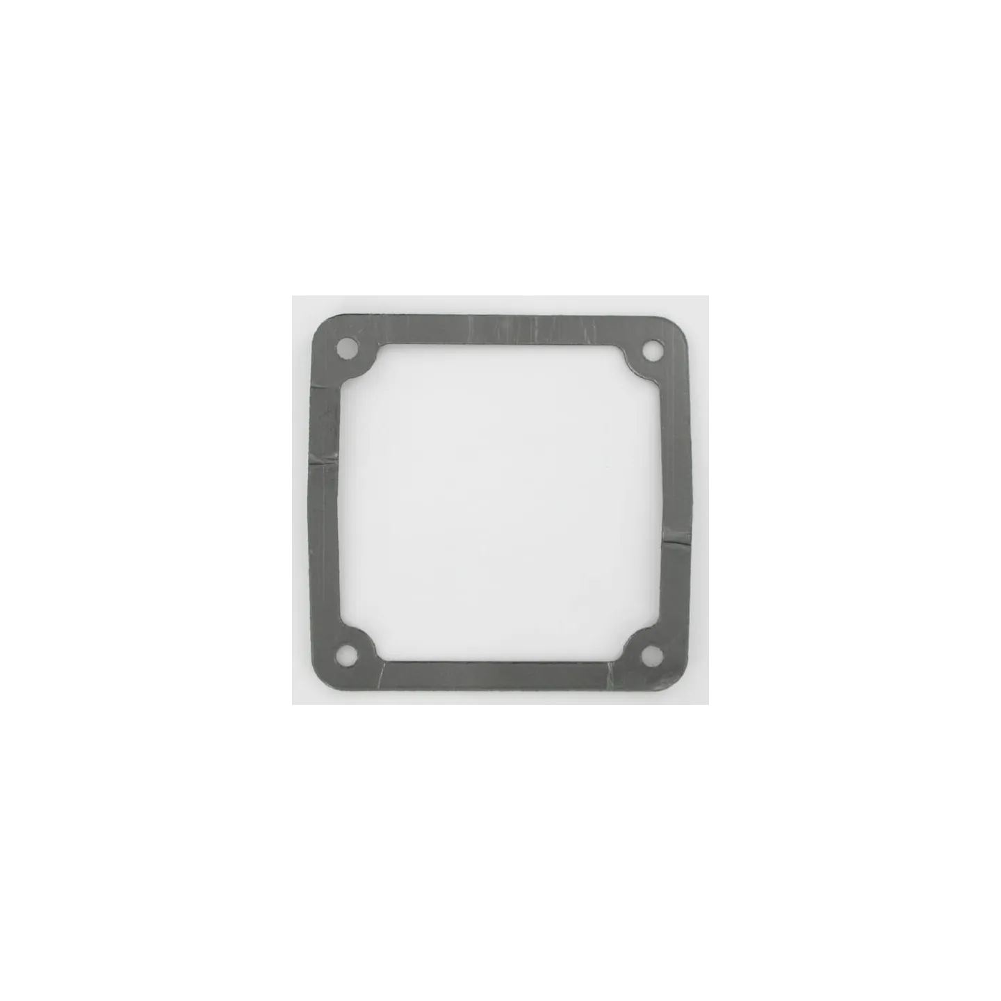 Gasket  VNB2104878 Vicon