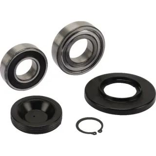 Bearing (Set)  VN79220021 Vicon
