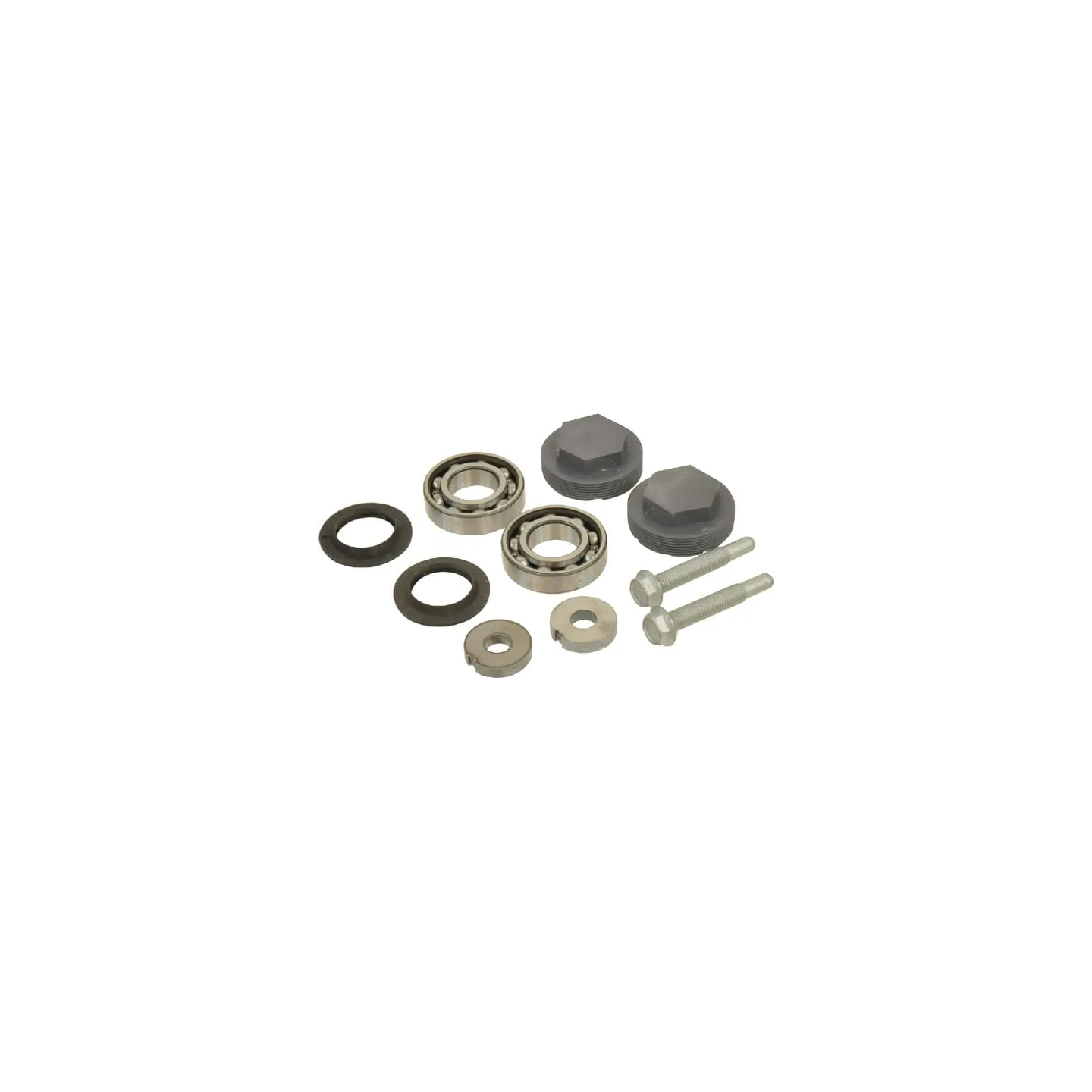 Gultnis VN79220046 Vicon 79220046