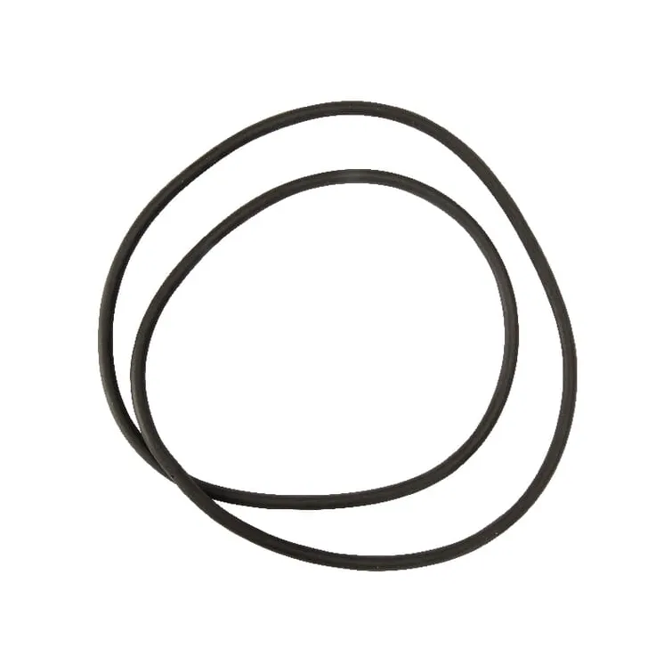 Seal ring Rau  VNB1094878 Vicon
