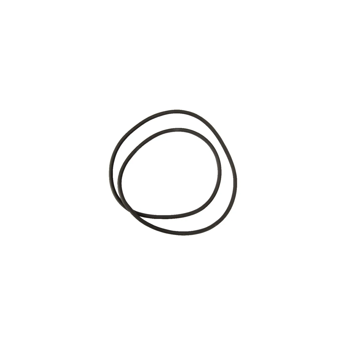 Seal ring Rau  VNB1094878 Vicon