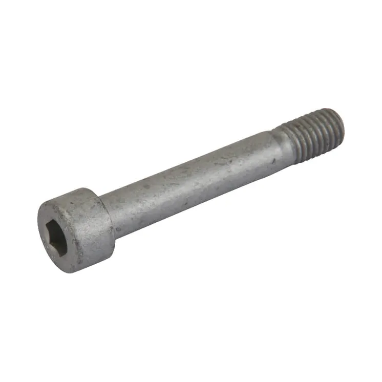 Socket Head Screw  VNB4348493 Vicon